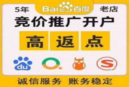 某SEM公司广告投放案例：创新广告形式的探索与实践